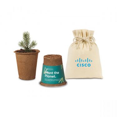Modern Sprout Tree Sets
