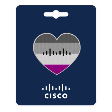 Asexuality Pride Patch