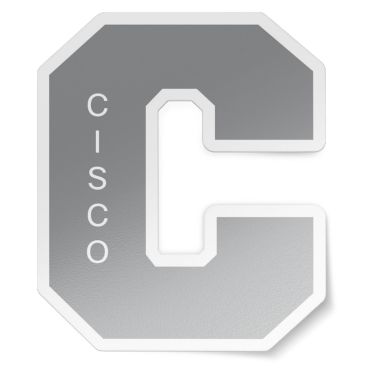 Team Cisco Sticker