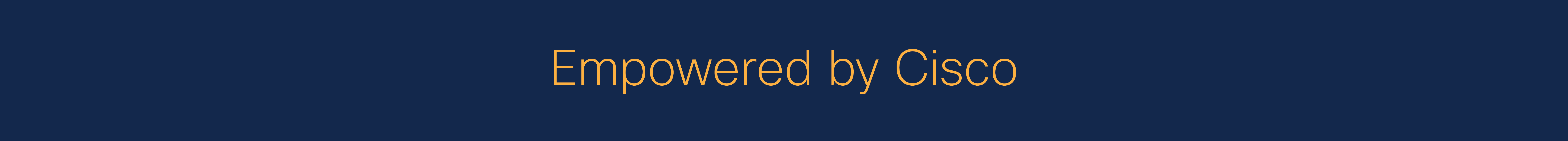 Connected Black Professionals